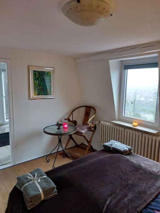 Casa Marieanne Haus, Gratisparken, Traumblick * Trier